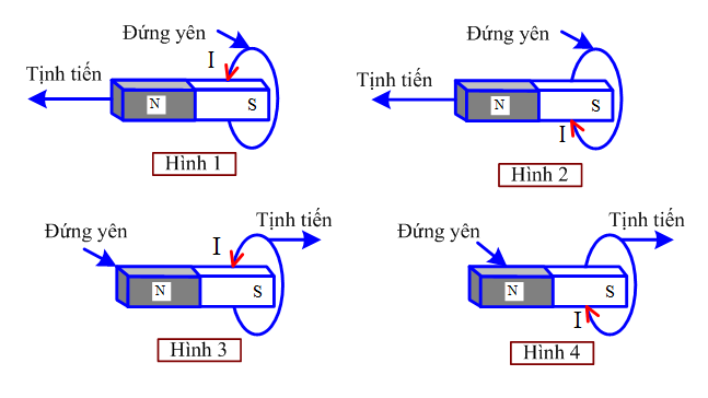 hinh-anh-chieu-dong-dien-cam-ung-trong-vong-day-dung-la-3385-0